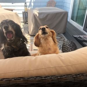 Meet your Posher, Stacey